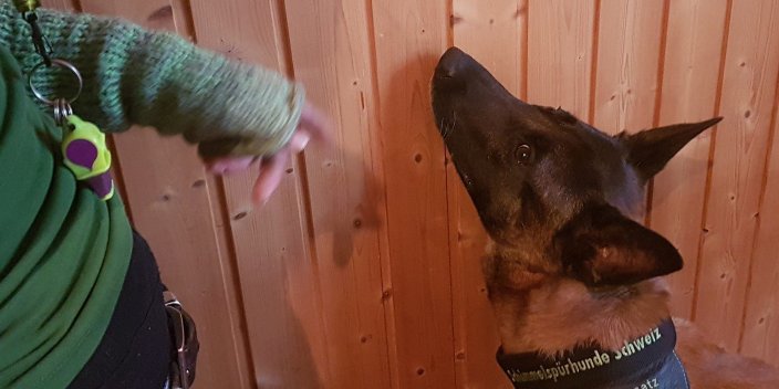 Schimmelspürhund Ghost mit Hundeführerin uund Schimmeldachverständige Claudia Erni
